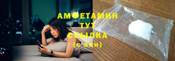 трава Карпинск