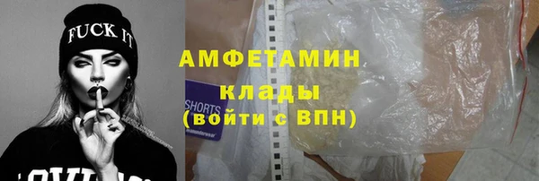 трава Карпинск