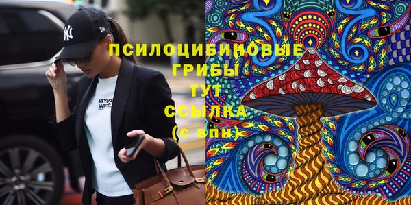трава Карпинск